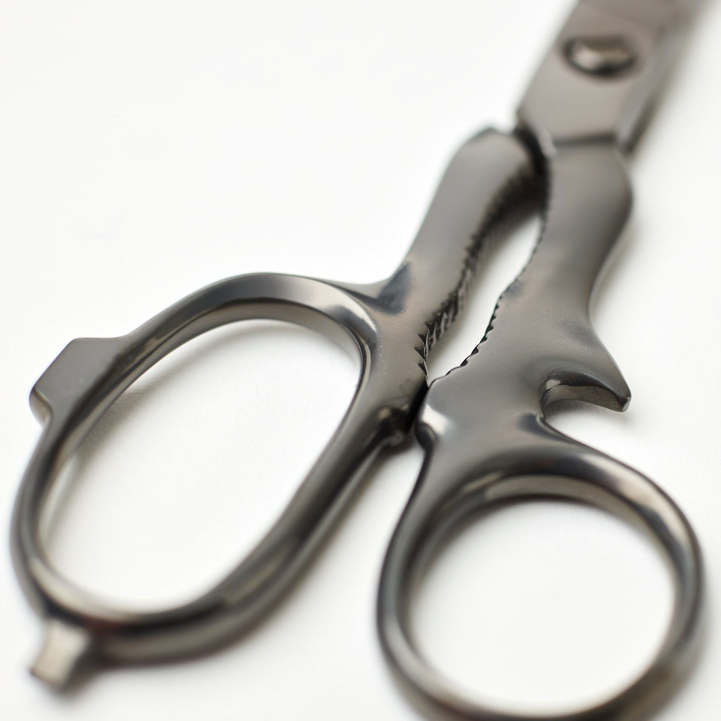 Scissors, Expedition, William Whiteley